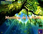 mystères de la forêt